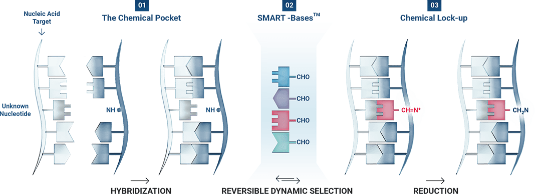 DGL-Tech Mechanism