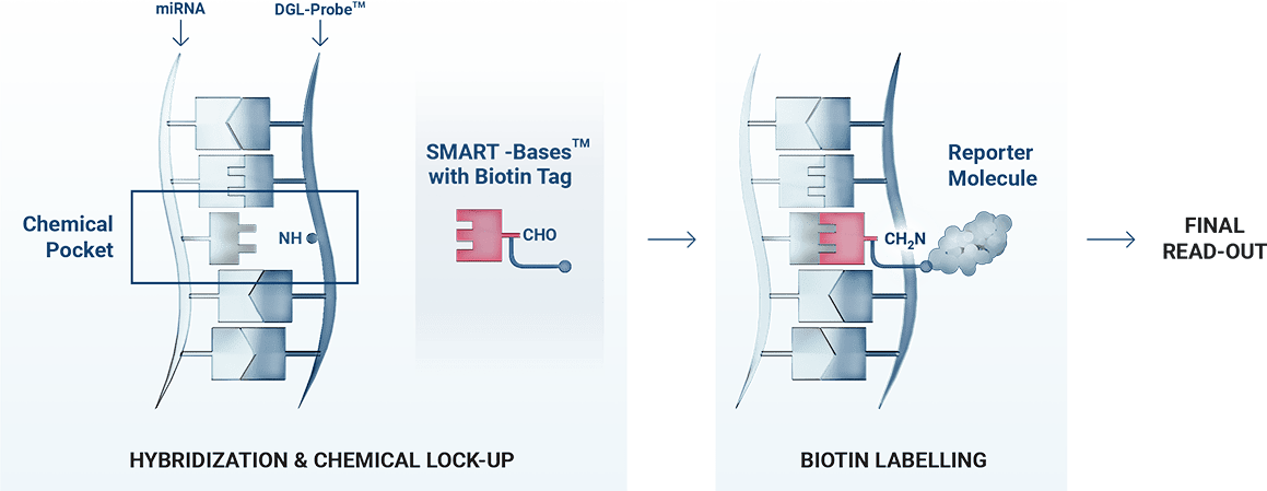 ChemiRNA Tech Mechanism